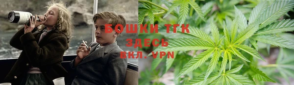 амф Осташков