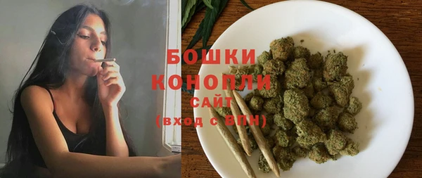 амф Осташков