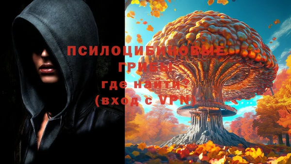 амф Осташков