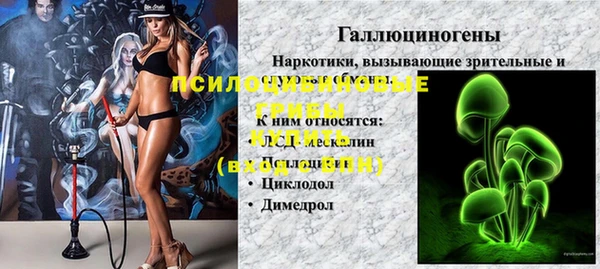 амф Осташков