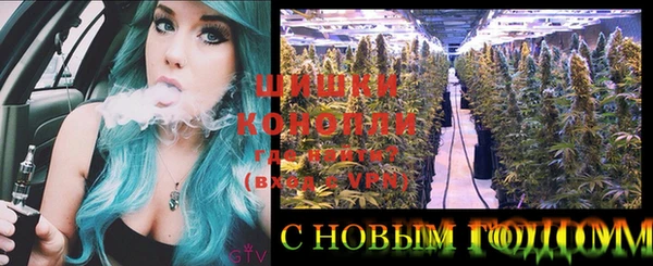 амф Осташков