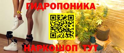 дживик Бийск