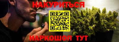 дживик Бийск