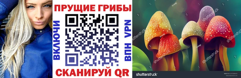 Галлюциногенные грибы Cubensis  Североуральск 