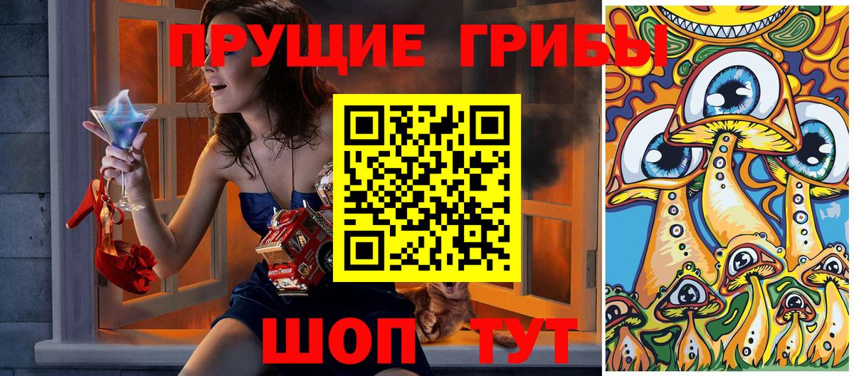 Псилоцибиновые грибы Psilocybe  Североуральск  Галлюциногенные грибы ЛСД 